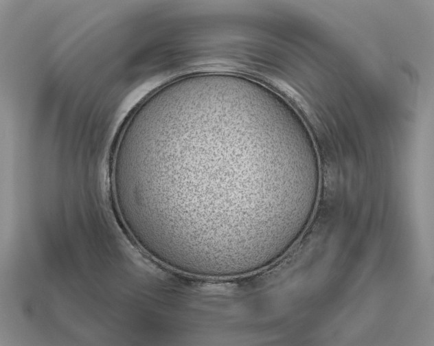 X0000112981466200909101704