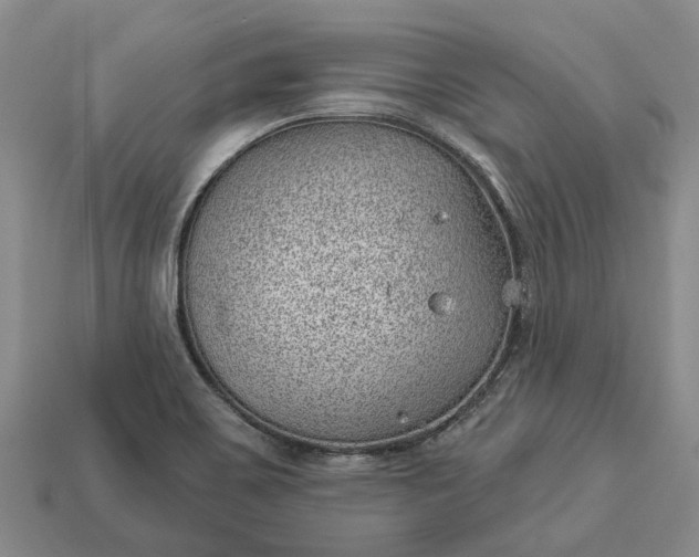 X0000112981467200909101704