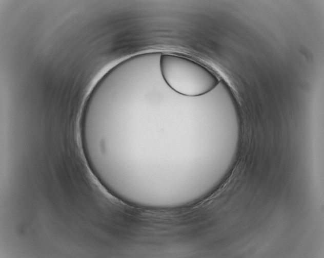 X0000112981468200909101704