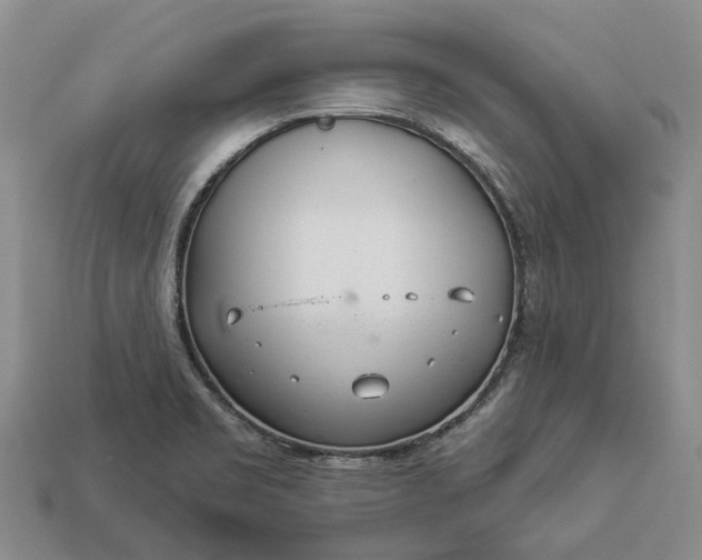 X0000112981469200909101704