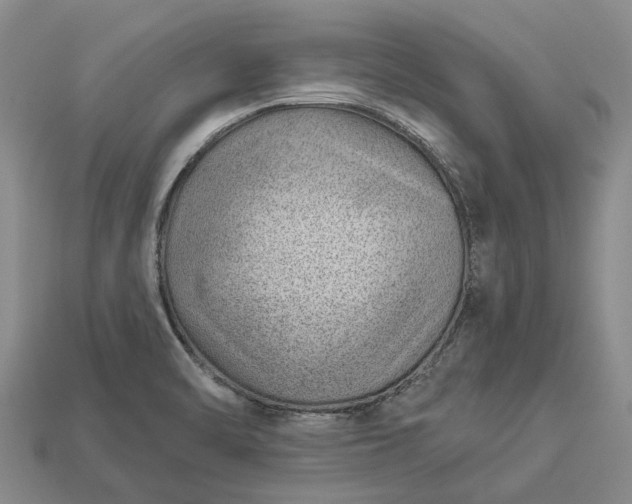 X0000112981470200909101704