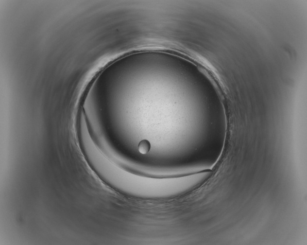 X0000112981472200909101704