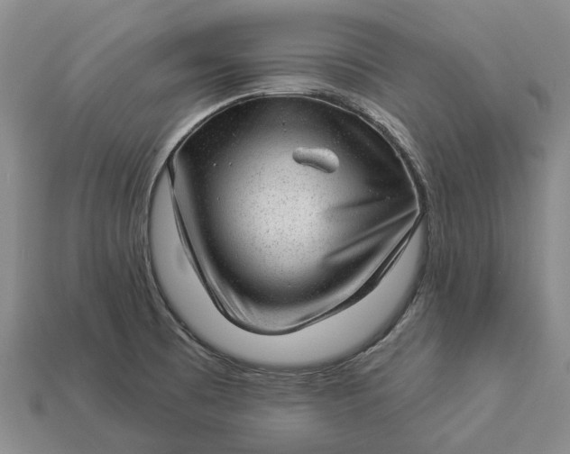 X0000112981473200909101704