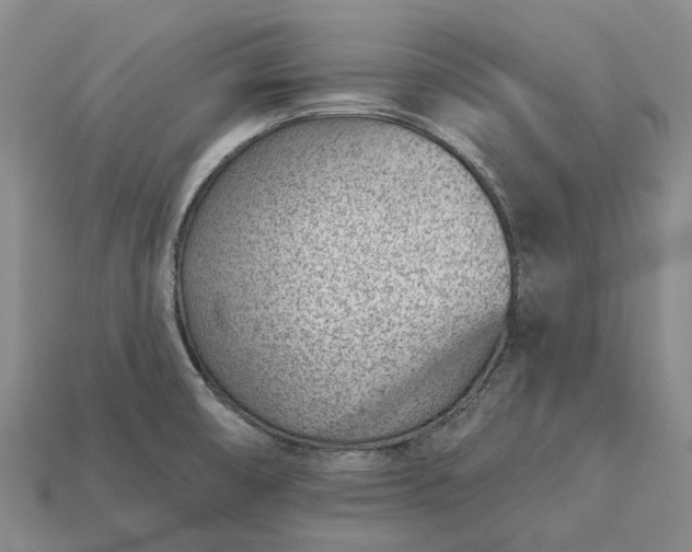 X0000112981474200909101704