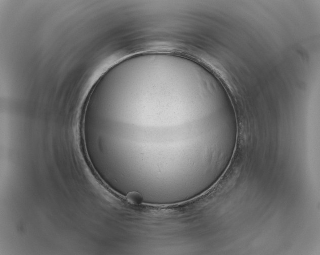 X0000112981475200909101704