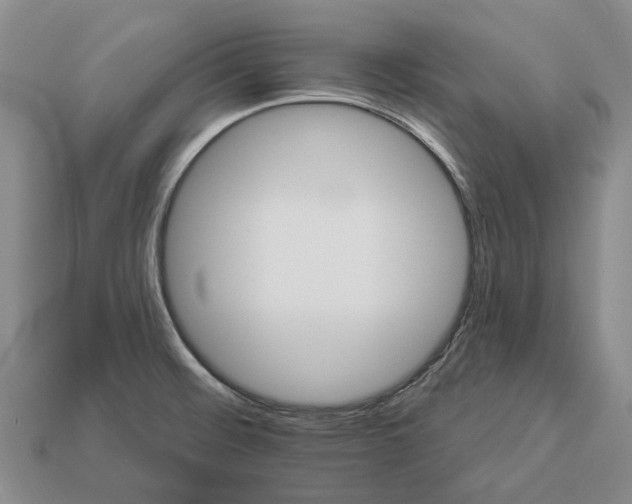 X0000112981476200909101704