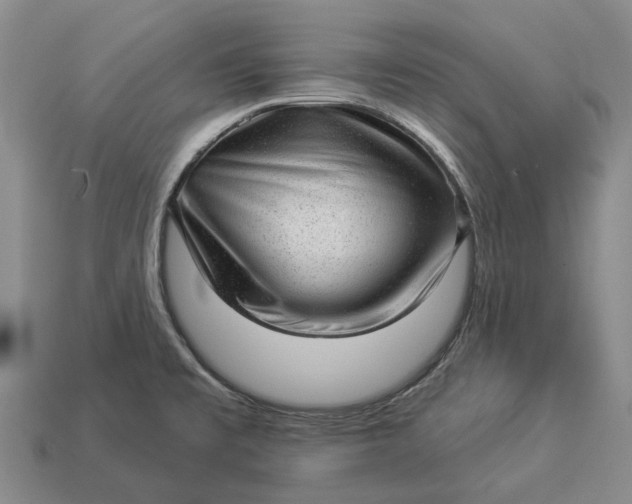 X0000112981477200909101704