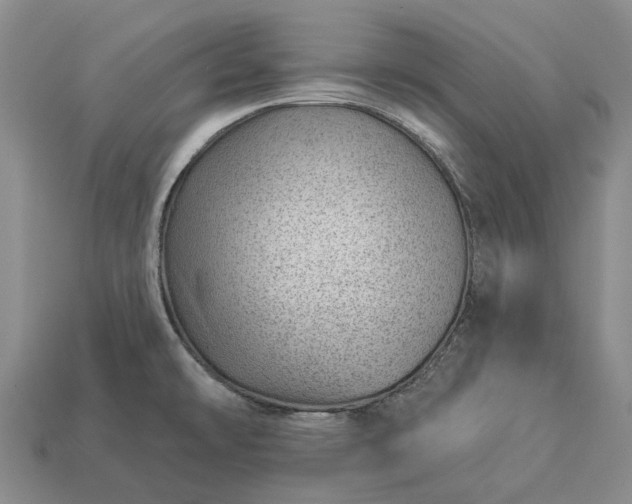 X0000112981478200909101704