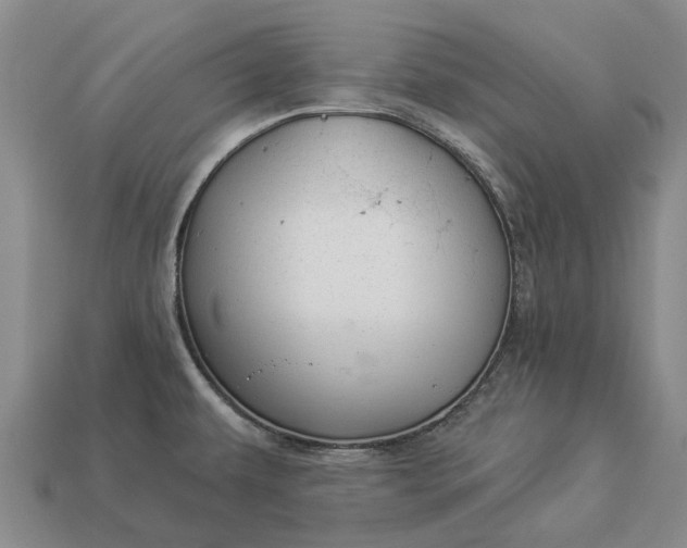 X0000112981479200909101704