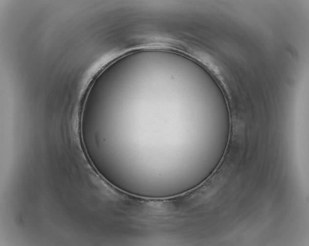 X0000112981480200909101704