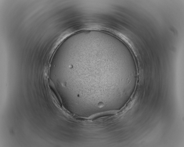 X0000112981481200909101704