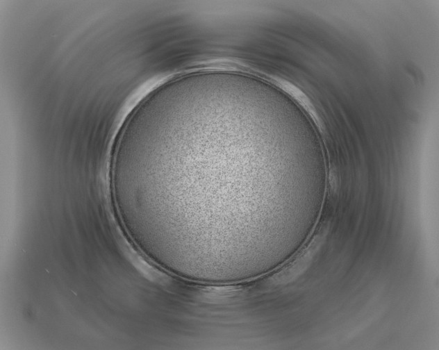 X0000112981482200909101704