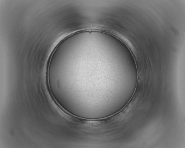 X0000112981483200909101704