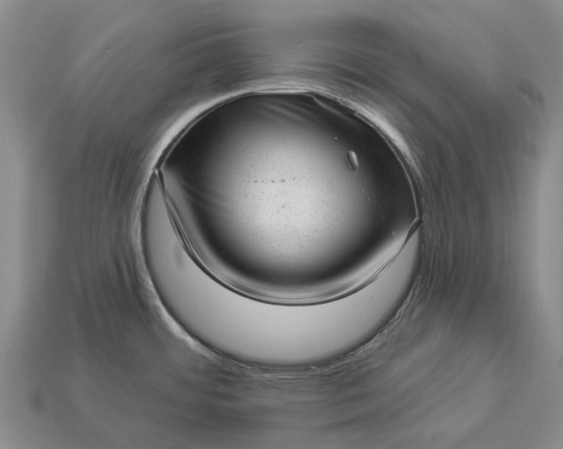 X0000112981484200909101704