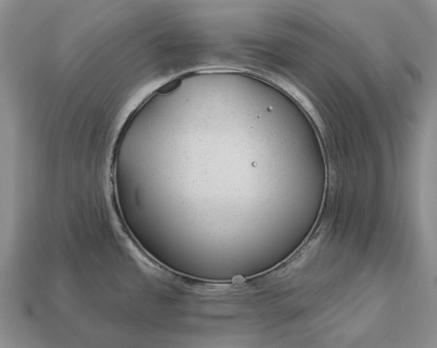 X0000112981485200909101704