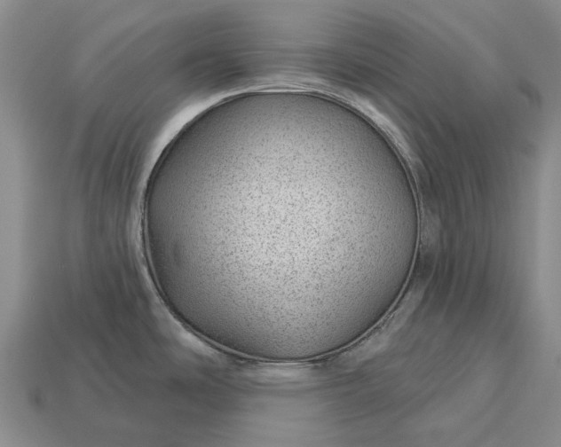 X0000112981486200909101704