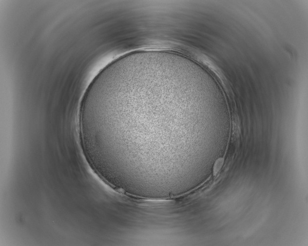 X0000112981487200909101704