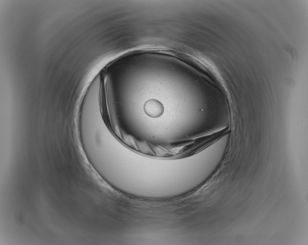 X0000112981488200909101704