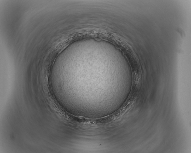 X0000112981489200909101703