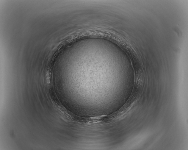 X0000112981490200909101703