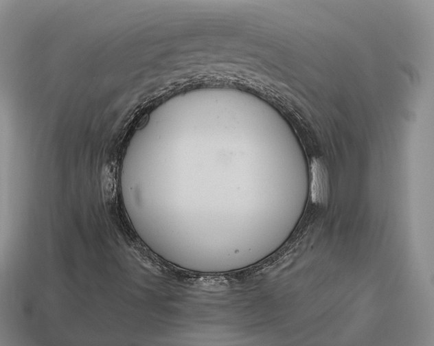 X0000112981491200909101703