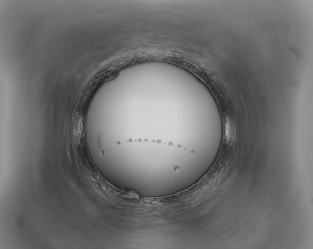 X0000112981492200909101703