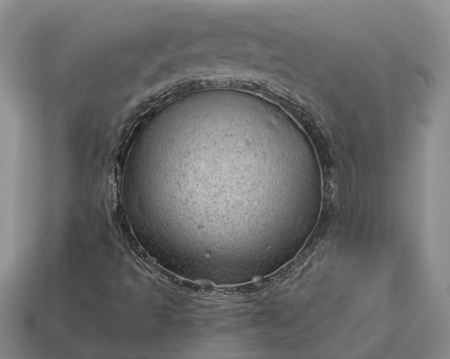 X0000112981493200909101703