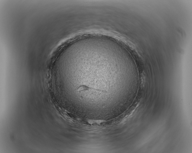 X0000112981494200909101703