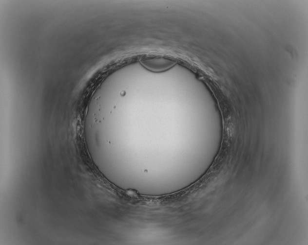 X0000112981495200909101703