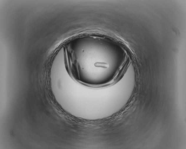 X0000112981496200909101703