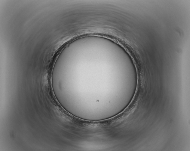 X0000112981497200909101703