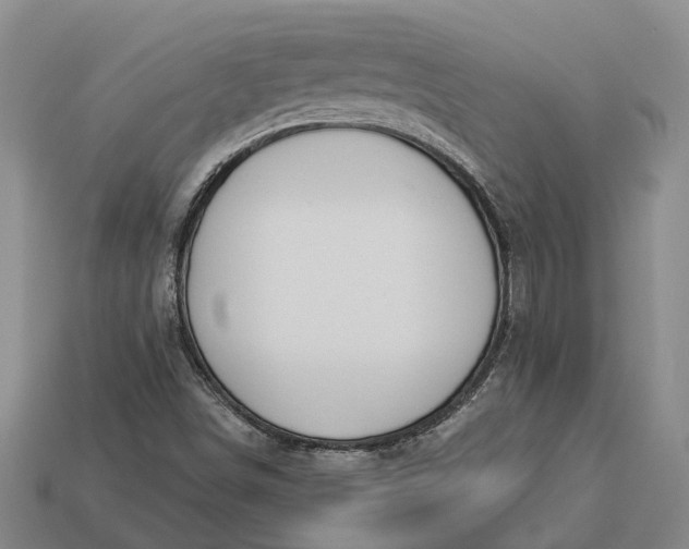 X0000112981498200909101703