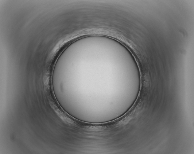 X0000112981499200909101703