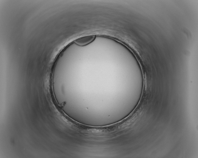 X0000112981500200909101703