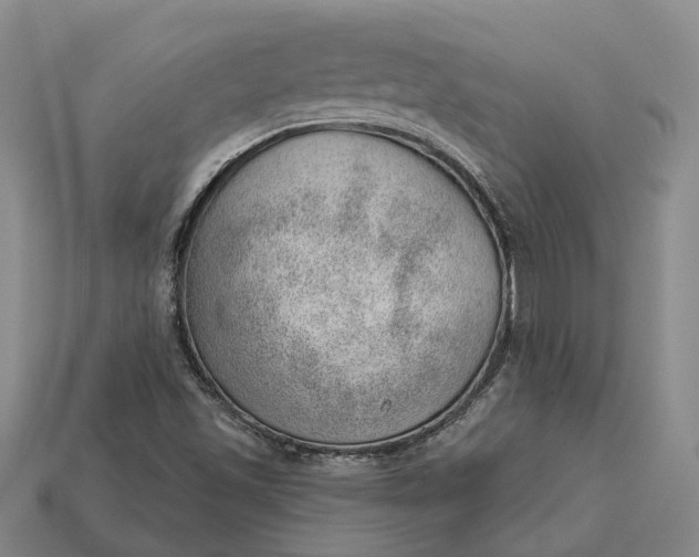 X0000112981501200909101703