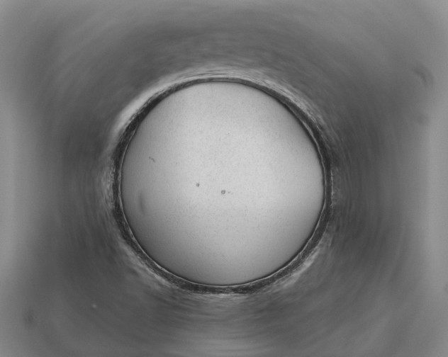 X0000112981502200909101703