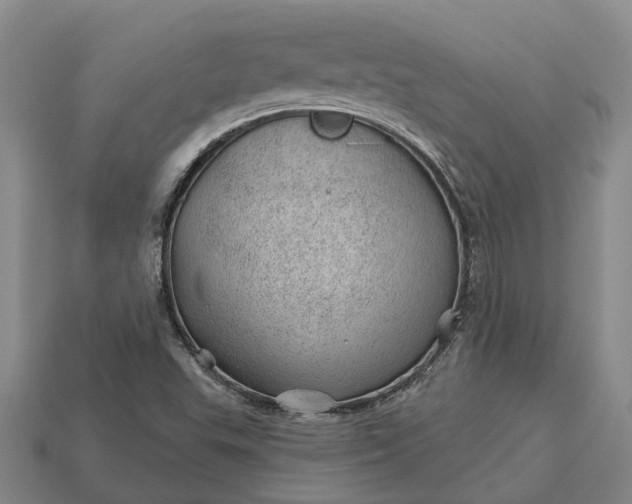 X0000112981503200909101703