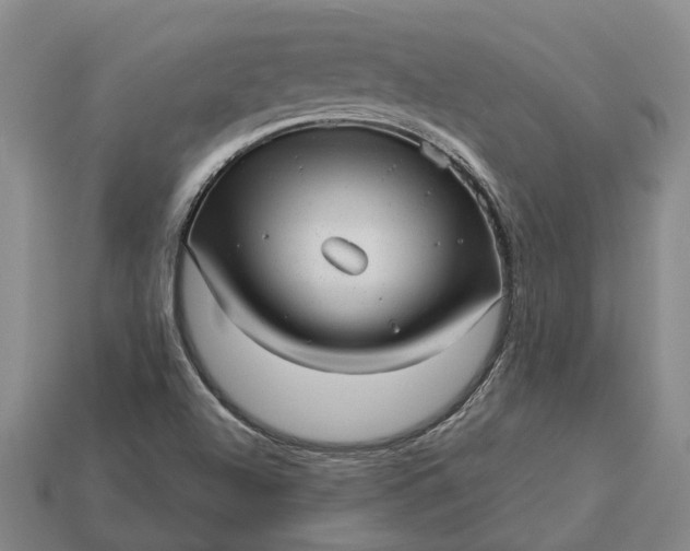 X0000112981504200909101703