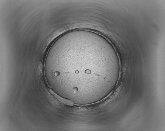 X0000112981505200909101703