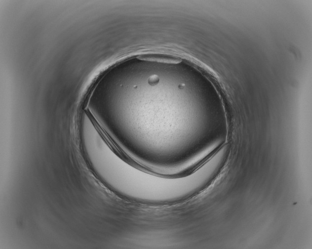 X0000112981506200909101703