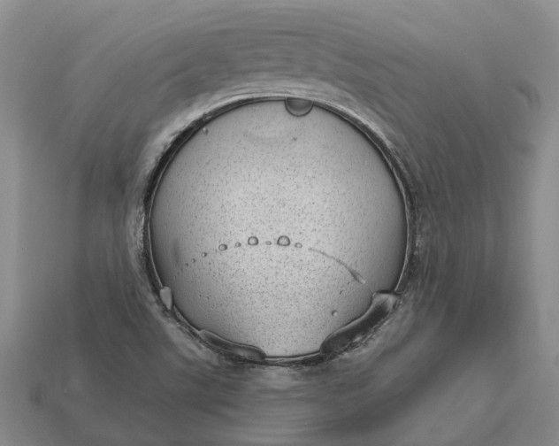 X0000112981507200909101703