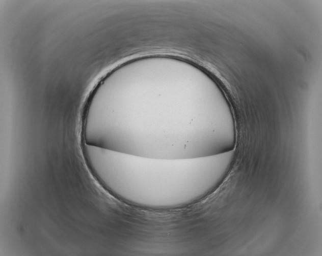 X0000112981508200909101703