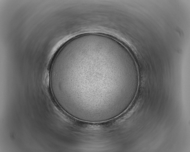 X0000112981509200909101703