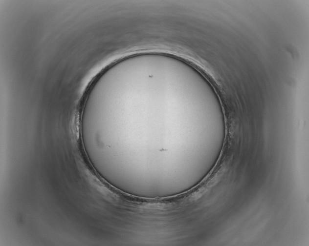 X0000112981510200909101703