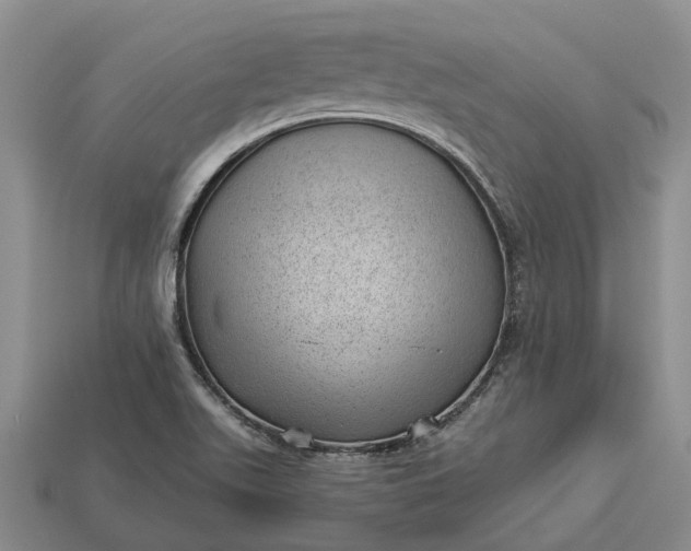 X0000112981511200909101703