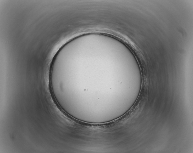 X0000112981512200909101703