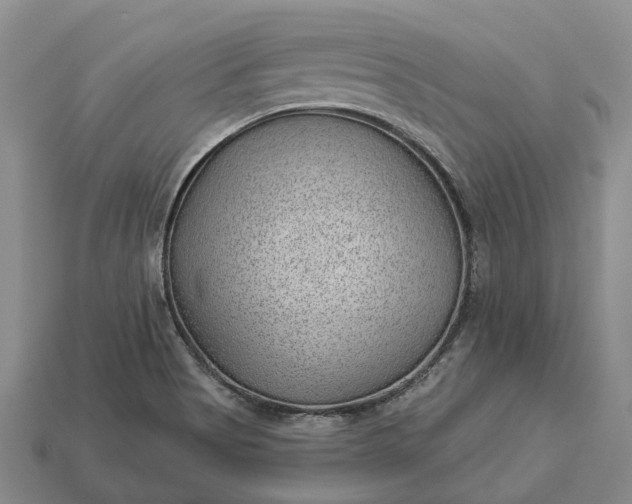 X0000112981513200909101703