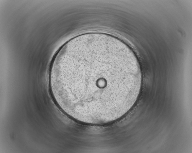 X0000112981514200909101703