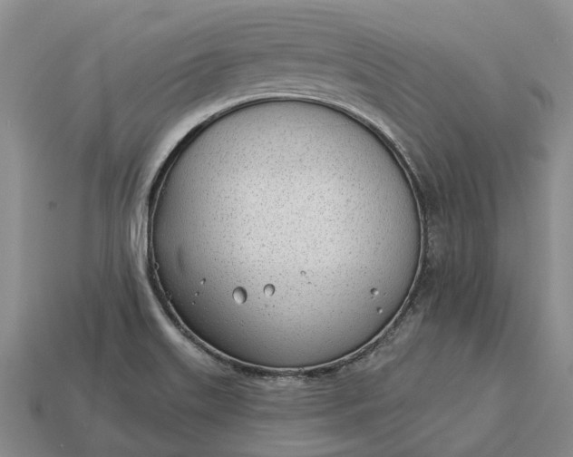 X0000112981515200909101703