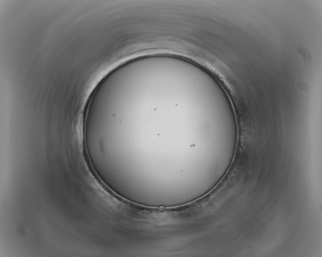 X0000112981516200909101703